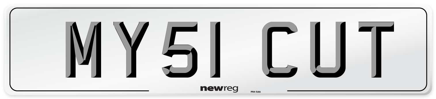 MY51 CUT Number Plate from New Reg